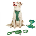 Dog Harness and Leash Set | BearBone No Pull Dog Harness and Waterproof Dog Collar and Leash Set | Heavy Duty Dog Harness Leash and Collar | Small Dog Harness and Leash Set (Green Small)