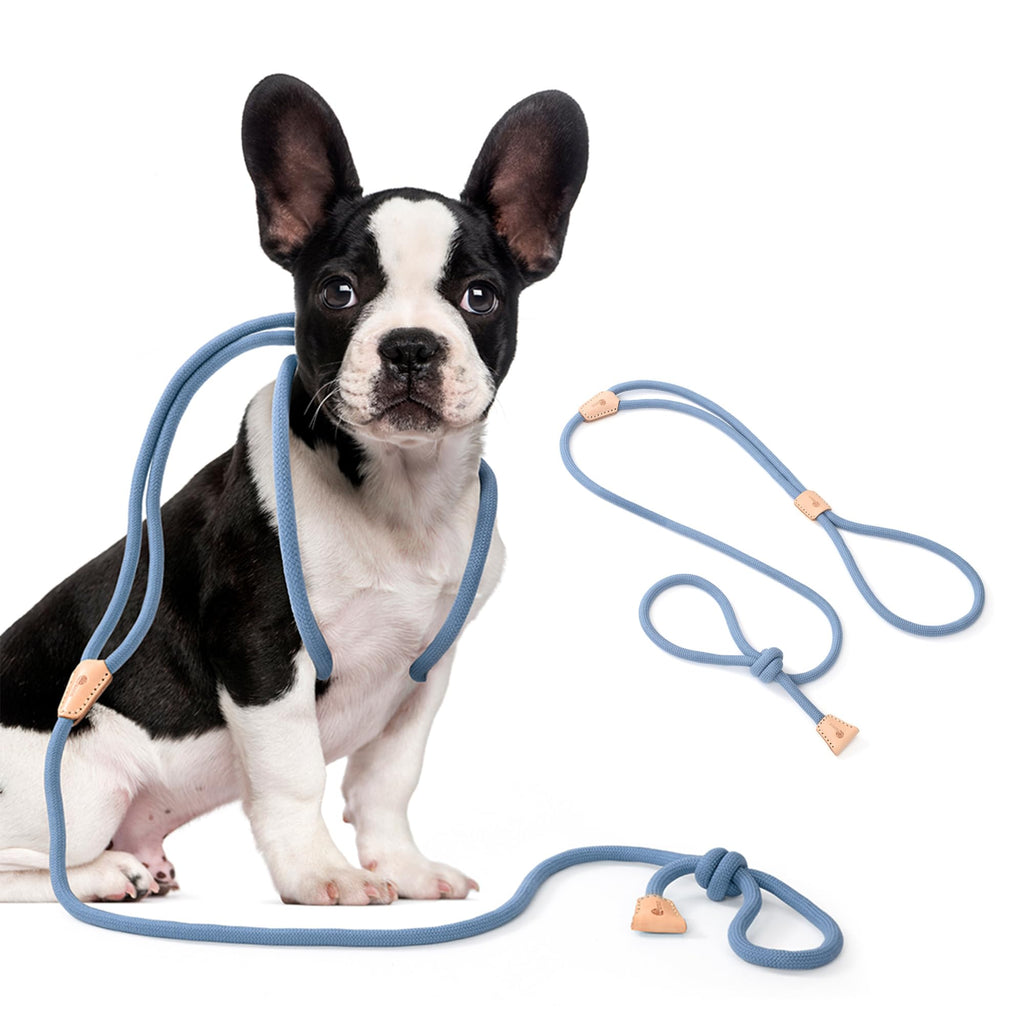 Mile High Life Harness Lead No Pull All in one Dog Lead Rope Leash and Harness Two in One Slip Leash for Small Dogs Training Harness Lead 2-in-1 for Puppies 4FT Blue