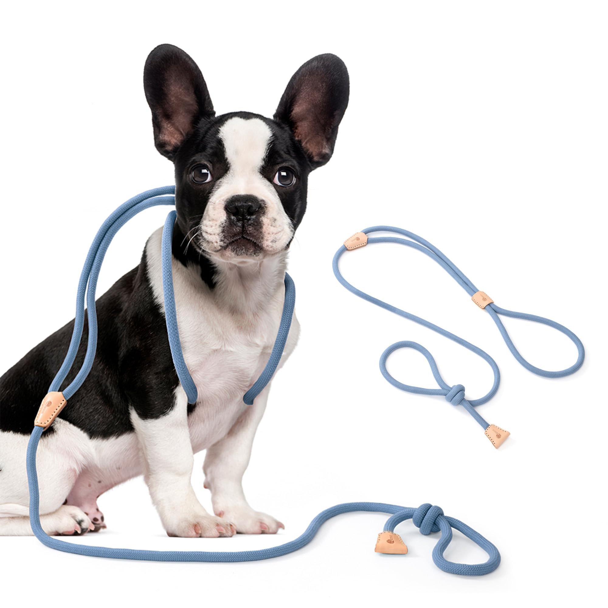 Mile High Life Harness Lead No Pull All in one Dog Lead Rope Leash and Harness Two in One Slip Leash for Small Dogs Training Harness Lead 2-in-1 for Puppies 4FT Blue
